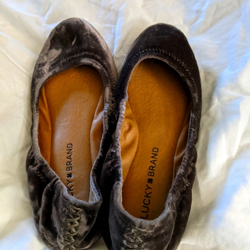 Lucky Brand chocolate velvet ballet flats size 6
